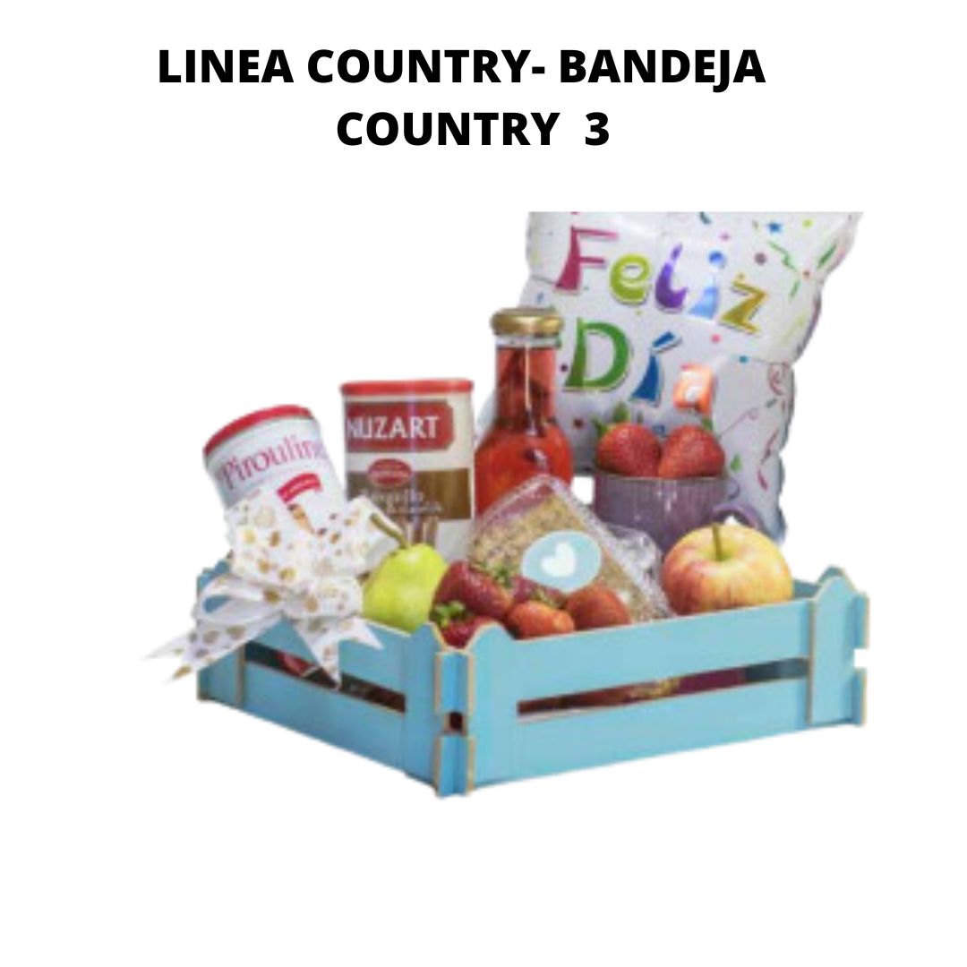 LInea Country – Bandeja Country 3
