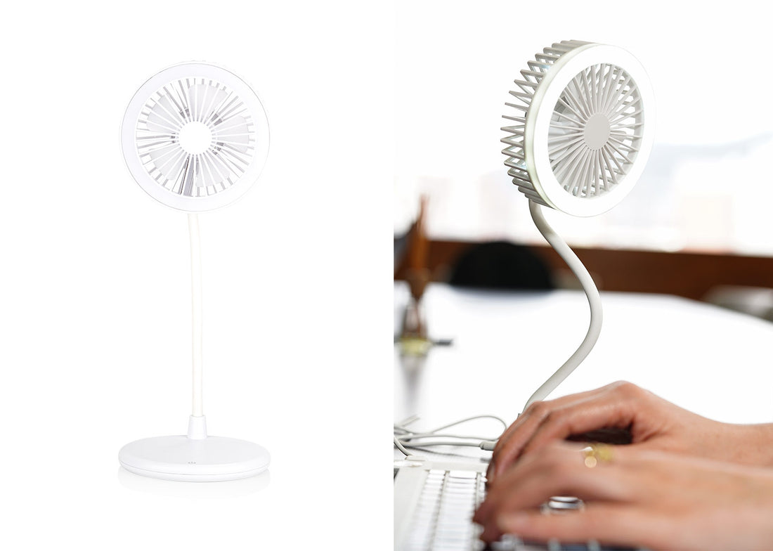 HE0339 Ventilador Light (MP)