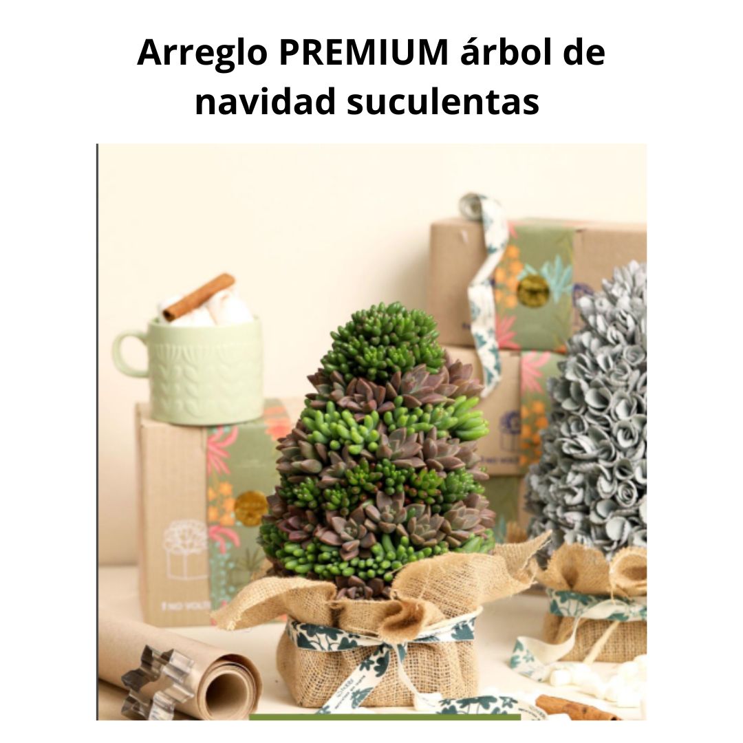 Arreglo Premium Arbol de Navidad Suculentas