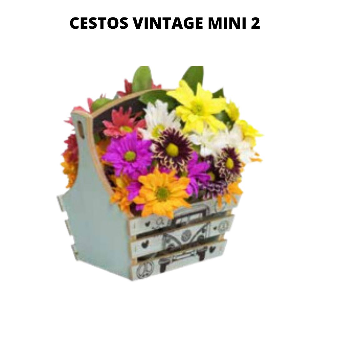 Cestos Vintage Mini 2