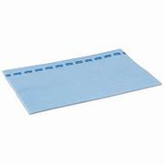 Paño Semidesechable X 10 Azul 74312 FAMITEX/TORK