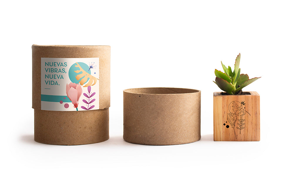 img2-PLANTAS_MADERA_2